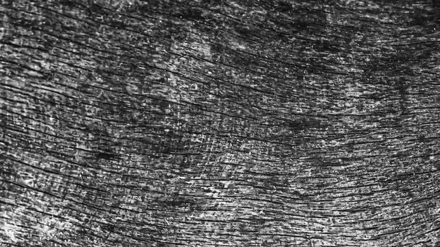 Close up of weathered wood grain pattern