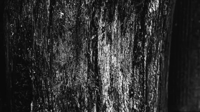 Close up textured wood grain pattern