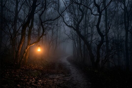 Foggy forest path at night with bare trees and glowing lantern