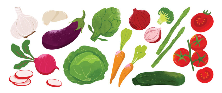 Colorful Vegetable Collection Vector with Garlic, Eggplant, Cabbage, Radish, Carrot, Cucumber, Tomato and Fresh Greens for Healthy Food Illustration, Kitchen Decor, Grocery Market Print, Recipe Design