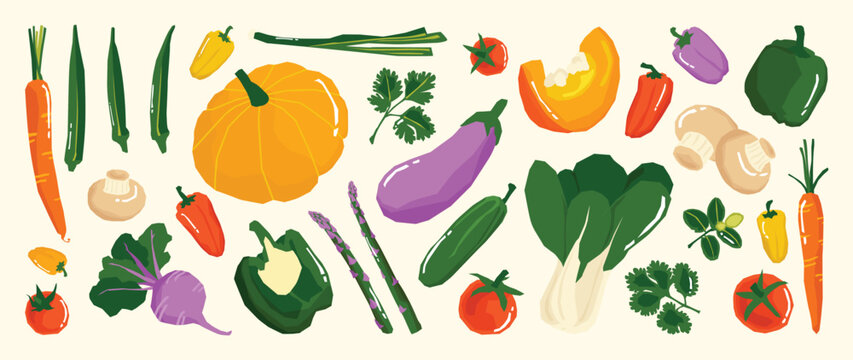 Hand Drawn Vegetable Collection Vector with Okra, Pumpkin, Eggplant, Pepper, Tomato, Chili, Bok Choy and Fresh Herbs for Healthy Food Illustration, Kitchen Decor, Grocery Print, Recipe Design