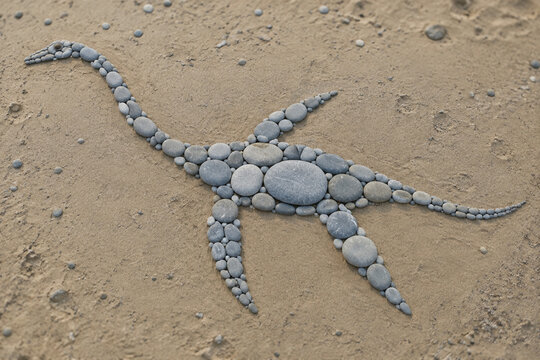 Outline of a plesiosaur made from grey river stones on a sandy beach.