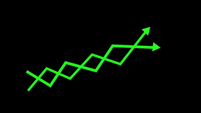 Investment Growth Graph Animation with Financial Performance Indicators