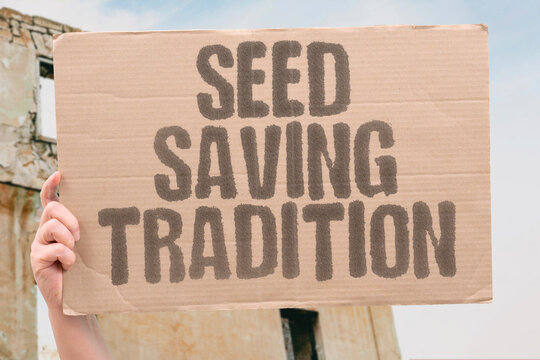 "Seed saving tradition" Gardeners keep next year's plants. SEEDS. SAVING. TRADITION. GARDENERS. HARVEST.