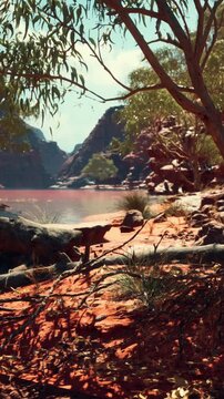 A view of a river flowing through a canyon surrounded by rock formations and trees. The scene shows sunlight reflecting off the water and highlights the earthy ground.