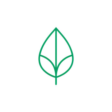 Minimalist green leaf vector line icon for organic brand identity and ecology