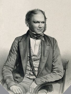 Charles Robert Darwin (12 February 1809 - 19 April 1882) was a British naturalist. He is considered one of the most important natural scientists because of his contributions to the theory of evolution, Historical, digitally restored reproduction of an original of the time