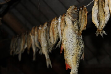 Salted dried river fish hanging on wire line for beer snack background © eliyashevskiy