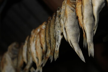Row of dried salted river fish hanging on string in perspective close up © eliyashevskiy