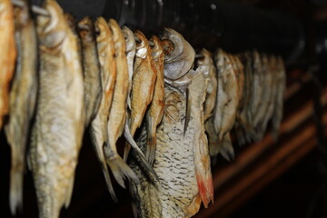 Traditional dried and salted river fish hanging in line close up view © eliyashevskiy