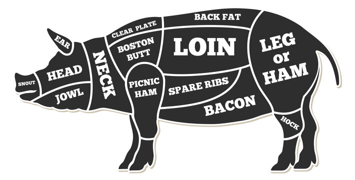 A pig is being cut up into different parts