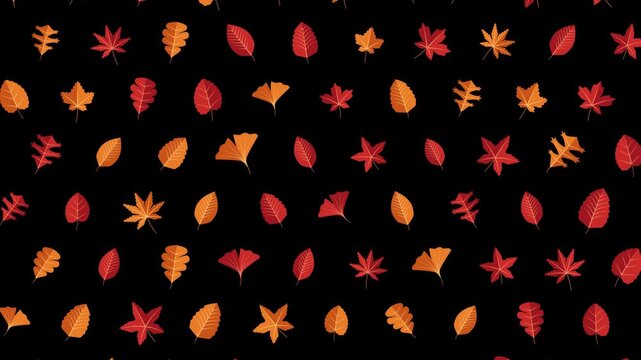 Modern vibrant autumn leaves pattern gently rotating looping alpha channel motion graphic background