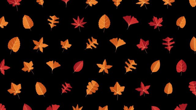 Vibrant graphic autumn maple oak ginkgo leaves icon pattern flowing horizontally seamless looping animation