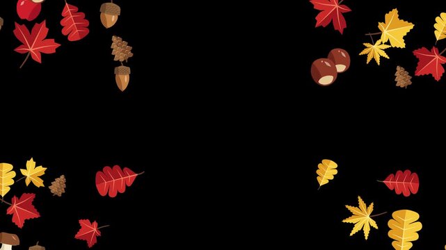 Animated colorful autumn flat lay elements pop up and frame an empty space seasonal graphic movement