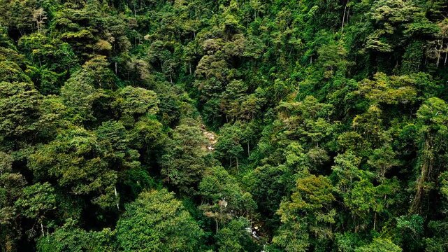 Drone footage gives an elevated view of green agricultural slopes in Tungurahua, Ecuador, where a pale winding dirt road crosses the hills beside wooded ravines and scattered trees. Patchwork fields a