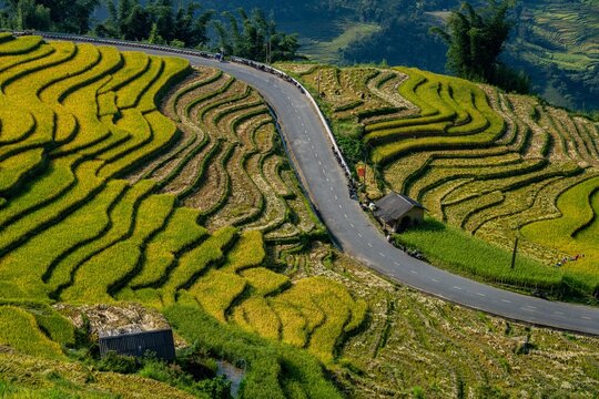 Terraced rice fields and mountain road with farmers working nearby, Y Ty, Lao Cai, Vietnam