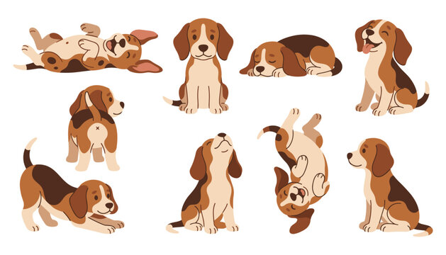 Cute cartoon beagle puppy dog character vector set. Sitting, sleeping, playing, running, stretching, tail and emotions.