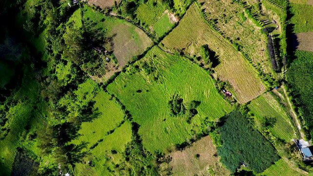 Overhead drone footage reveals a patchwork of cultivated green and brown plots, scattered rural buildings, and narrow winding roads in Tungurahua, Ecuador. The varied field boundaries and vegetation f