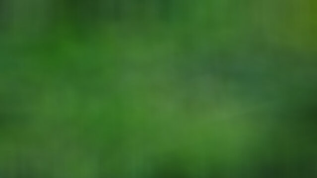 abstract natural forest  green  blur background with reflection