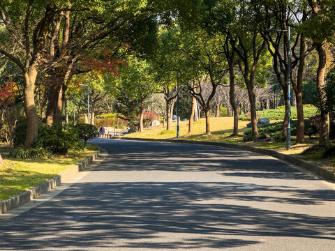 Calm Scenic Roadway Through Lush Green Park Surrounded by Trees