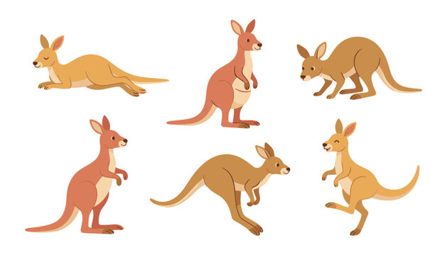 Cute kangaroo cartoon character vector set. Wild australian animals jumping, standing, lying down and running.