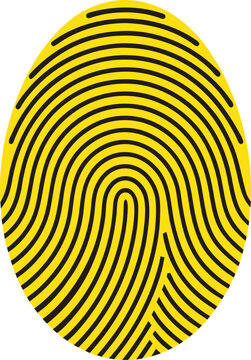 fingerprint vector illustration