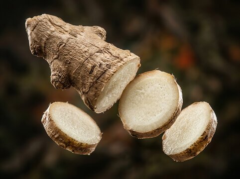Fresh Ginger Root Slice Natural Spice Ingredient Healthy Food Concept Isolated on Dark Background