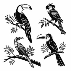 Fototapeta premium Set of four black and white of exotic tropical birds including toucans and parrots perched on tree branches