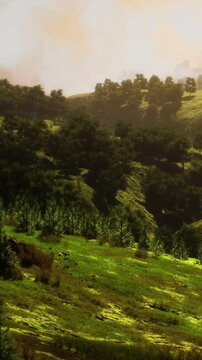 This scene features hills covered in green grass and trees under a bright sky. The sunlight shines through the leaves, creating a warm atmosphere. The setting shows a natural environment.