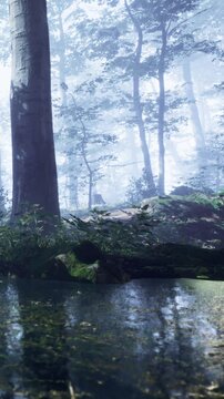 A forest scene shows tall trees shrouded in mist near a calm pond. The light reflects on the water. Early morning offers a quiet atmosphere and hints of natural beauty.