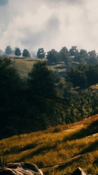 Green hills with trees scattered across them. The sky is cloudy, creating a soft light. The grass covers the ground, with some areas more exposed.