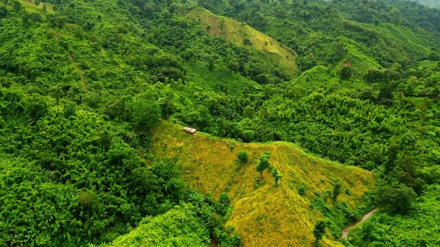 Aerial footage of rolling green hills and foggy valleys in Chittagong Hill Tracts during rainy season