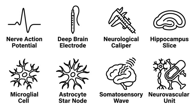 Set of neuroscience and neurological research symbols for brain science with neuroscience neurology research electrode microscopic hippocampus potential astrocytes microglia neurovascular