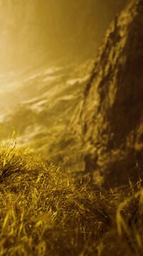 Bright sunlight shines through the trees illuminating a grassy field. Tall grass and a large rock create a natural setting in the early morning. The scene shows nature waking up.