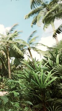 Tall palm trees and various green plants fill the scene under a clear blue sky. The sun shines down on this lush tropical environment, creating a vibrant display of nature.