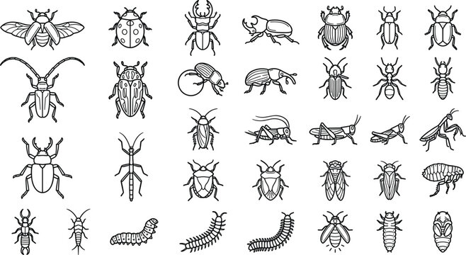 Insects and bugs vector outline icon set featuring beetle ant grasshopper praying mantis caterpillar and crawling creature design elements
