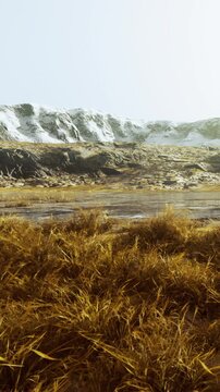 A view of large mountains covered in snow. Grass and plants grow in the foreground near a body of water. The sun is shining and the sky is bright.
