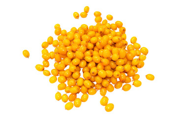 Sea buckthorn berries. Cut out background, PNG format © LivaLife