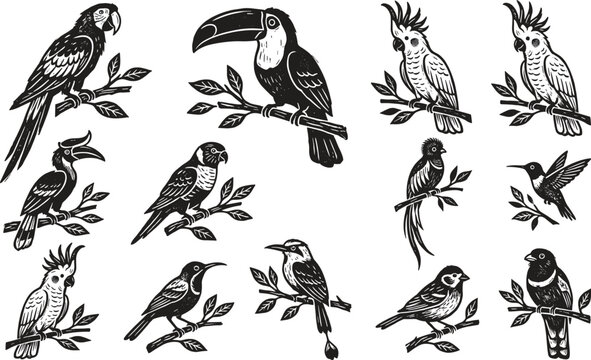 Vintage linocut tropical birds vector set featuring textured woodcut illustrations of parrots toucans and cockatoo characters