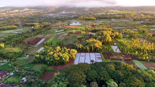 Aerial view of lush forest and agricultural fields near Mount Gede Pangrango National Park in Sukabumi, West Java, Indonesia.