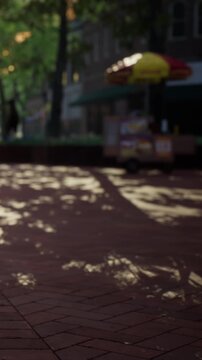 Sunlight shines through tree branches, casting shadows on the ground in a city square. A food cart is visible in the background. People walk around in the warm weather.