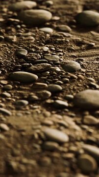 The ground is covered with various stones of different shapes and sizes. The sun is shining on the stones, highlighting their textures. This scene captures a natural landscape.