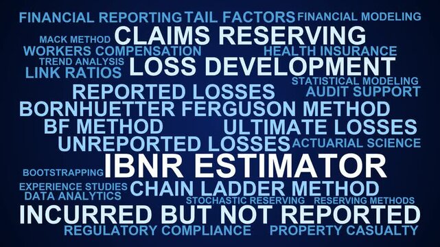 Ibnr Estimator Word Cloud
