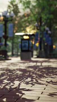 Sunlight filters through leaves creating patterns on the ground in the park. The scene shows a pathway with trees and lights, suggesting a warm afternoon.