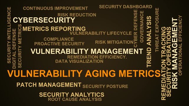 Vulnerability Aging Metrics Word Cloud