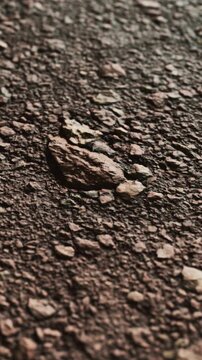 Rocks and dirt cover the ground near a path. Sunlight creates shadows on the uneven surface. The scene shows a natural outdoor area with various stone sizes and shapes.
