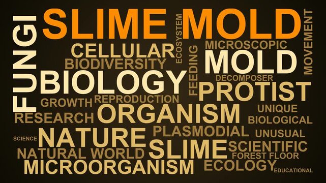Slime Mold Word Cloud