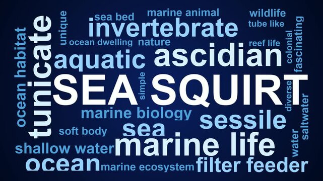 Sea Squirt Word Cloud