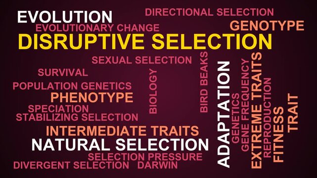 Disruptive Selection Word Cloud