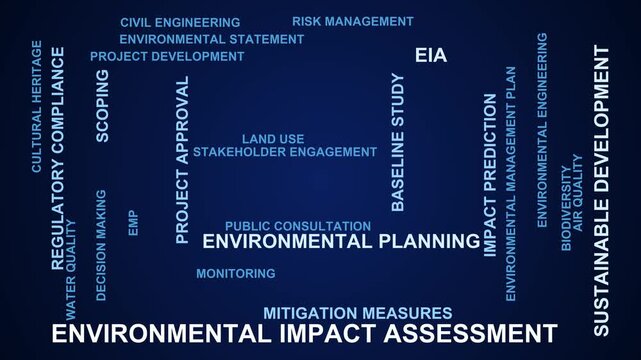 Environmental Impact Assessment Word Cloud